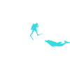 Diving Heartbeat Dolphin