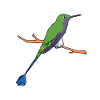 Kawaii Green-parted Flag Sylph