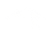 Daily dose of Creatifity