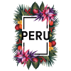 Machu Picchu Geschenk