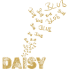Bateau Daisy