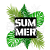 Summer Plants Palm Leaves