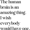 The human brain