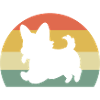 Corgi