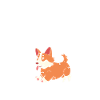 Corgi Anatomie
