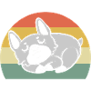 Corgi