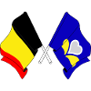 Drapeau Belgique, Région de Bruxelles-Capitale