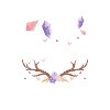 Rêve, Foi, Bonheur, Paix