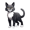 Cat Symbol Animal