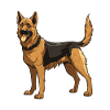 German Shepherd Dog Animal