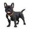 Bouledogue français Chien Animal