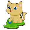 Cat Play