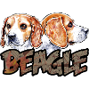 Beagle CO