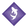 Koi Fisch Fischen Fischkopf