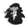 Accrobranche Ascension Singe grimpant
