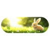 Lucky Bunny