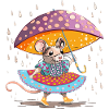 It's raining