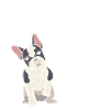 Funny French Bulldog Owner