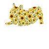 Sunflower French Bulldog