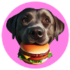 Labrador frisst Hamburger