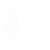 Rodeo