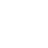 Souris Rat