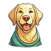 Mignon Labrador Retriever