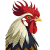 Rooster