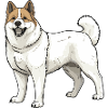 Akita Dog Animal