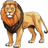 Lion Animal