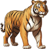 Tiger Animal