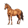 Pferd Tier