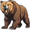 Bear Animal