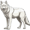Wolf Animal