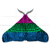 Polysexual pride moth motif A