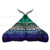 Gay pride moth motif A