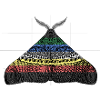 Disability pride moth motif A