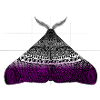 Asexual pride moth motif A