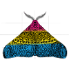 Pansexual Pride Moth Motif A