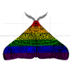 Pride Moth Motif A