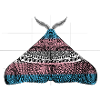 Transgender pride moth motif A