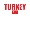 Tyrkiet Vintage Tyrkiet tyrkisk flag Turk