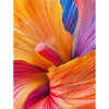 Abstract Petal 3