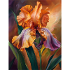 Iris FL 23
