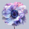 Violet Macro 6
