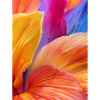 Abstract Petal 2