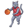 Chat Basketteur Basketteur Basketball