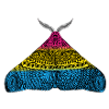 Pansexual pride moth