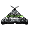 Agender pride moth