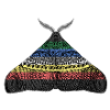 Disability pride moth